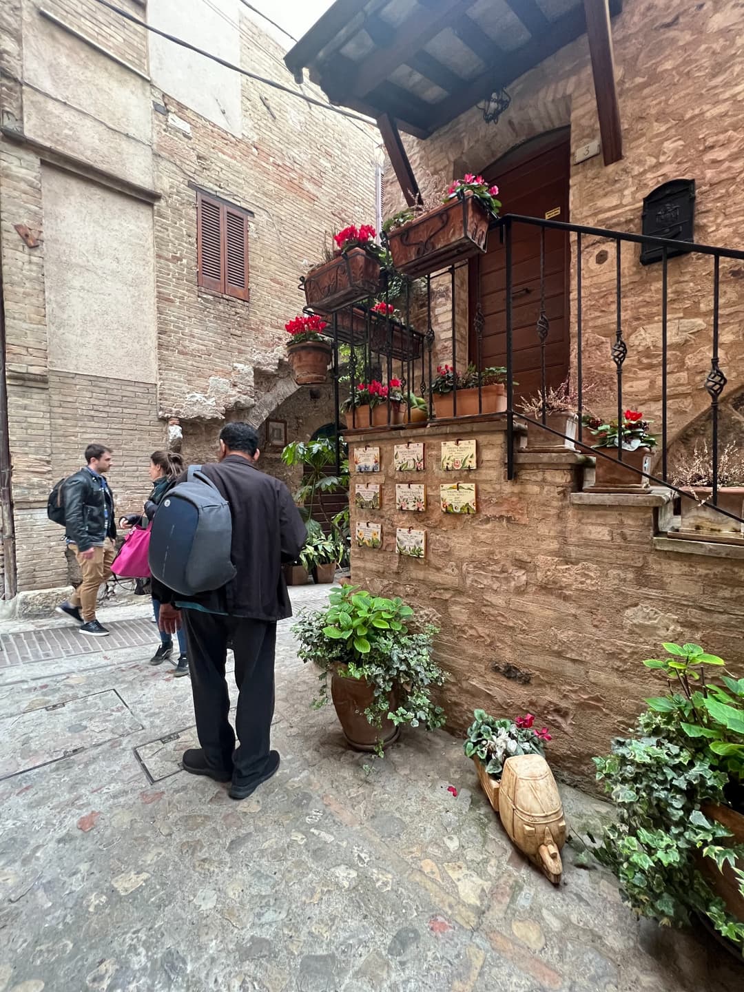 The flower-covered façade and winning plaques in Spello