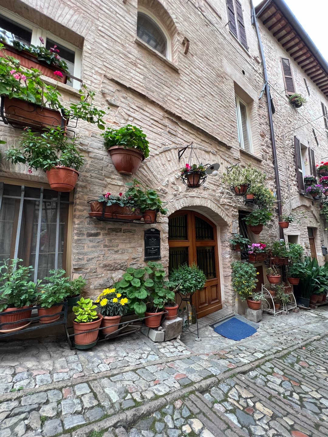 A stone facade filled with plants and flowers in Spello