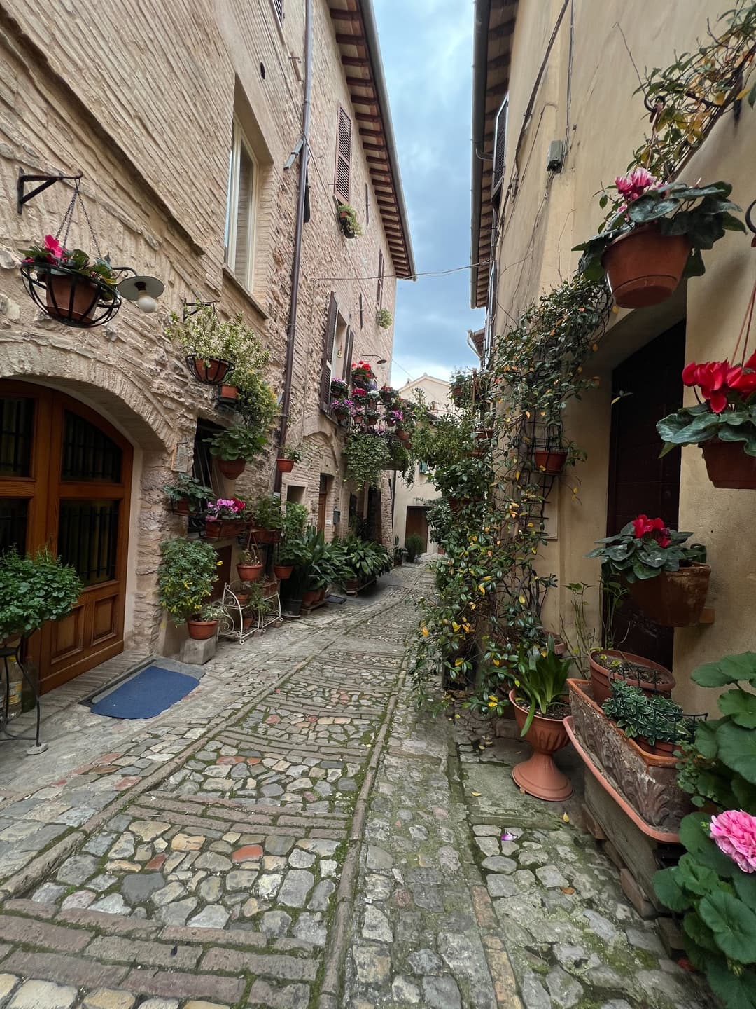 A flower-filled stone lane in Spello